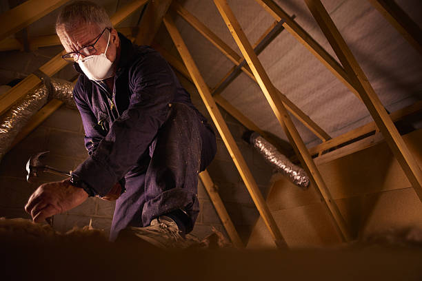 Types of Insulation We Offer in Cresson, PA